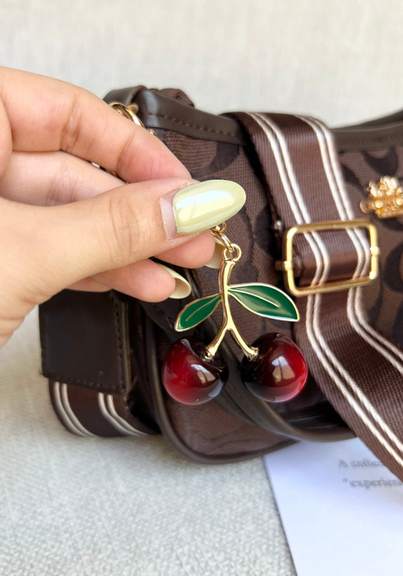 کیف کوچ دلارا همراه با چارم بگ